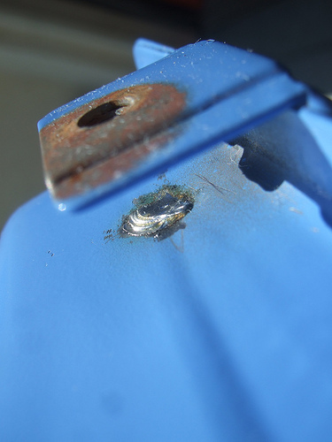 Portable AirCompressor MV50